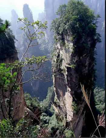 長(zhǎng)沙出發(fā)到張家界溶洞奇觀黃龍洞、國(guó)家森林公園、袁家界、峰林之王天子山三日游（早班）