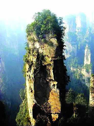 張家界國(guó)家地質(zhì)森林公園、黃石寨、金鞭溪休閑一日游