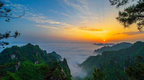 張家界森林公園（金鞭溪、袁家界、楊家界、天子山、十里畫廊）住山上2天1游（可看日出）